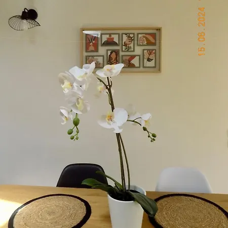 Le Nid D'abeille, La Ruche Rurale Apartment