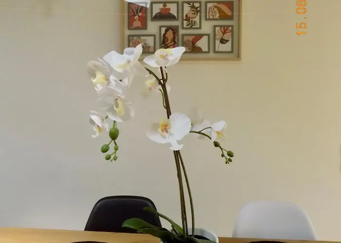 Le Nid D'abeille, La Ruche Rurale Apartamento